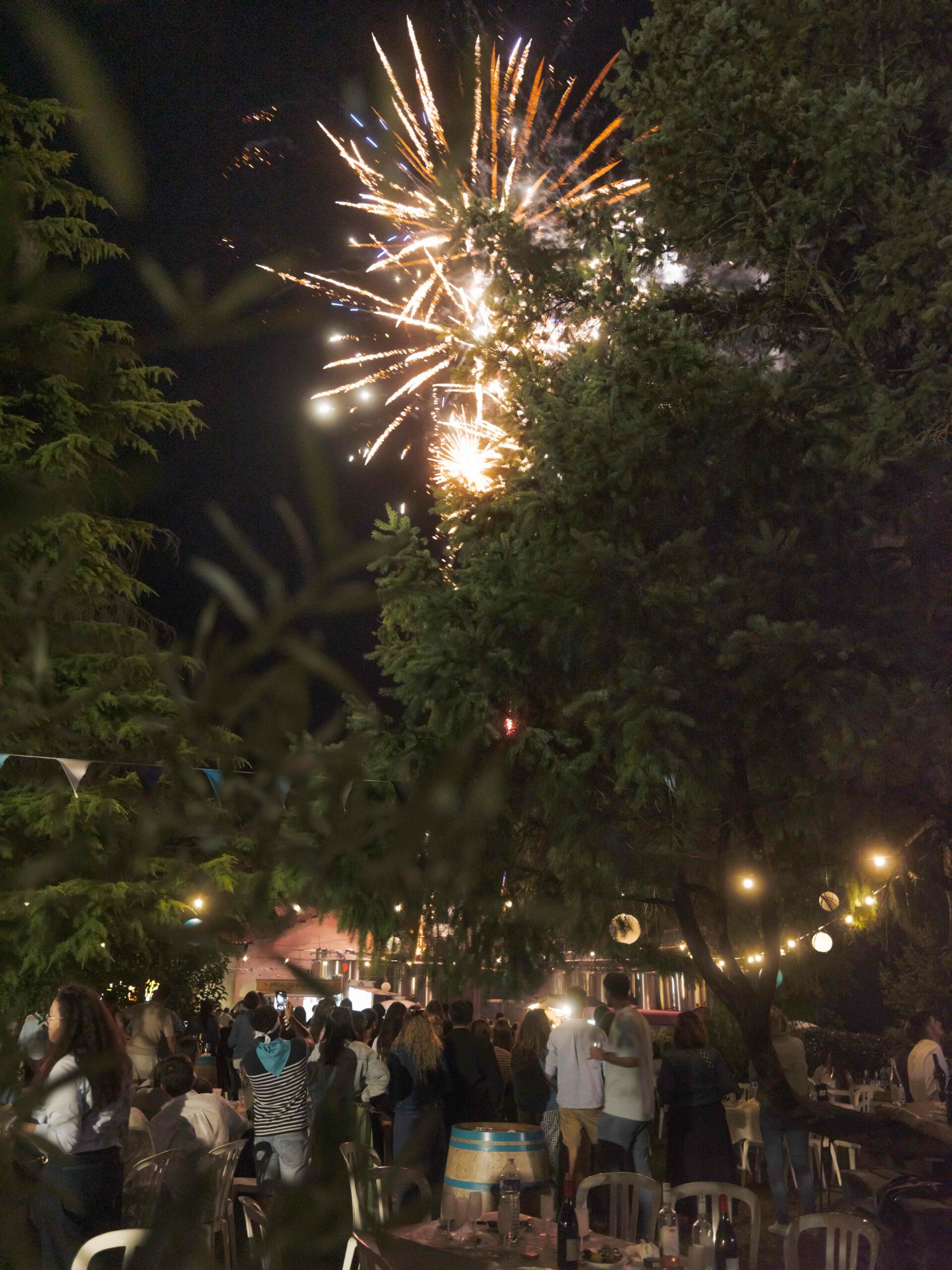 Feux d'artifices FESTA 2025