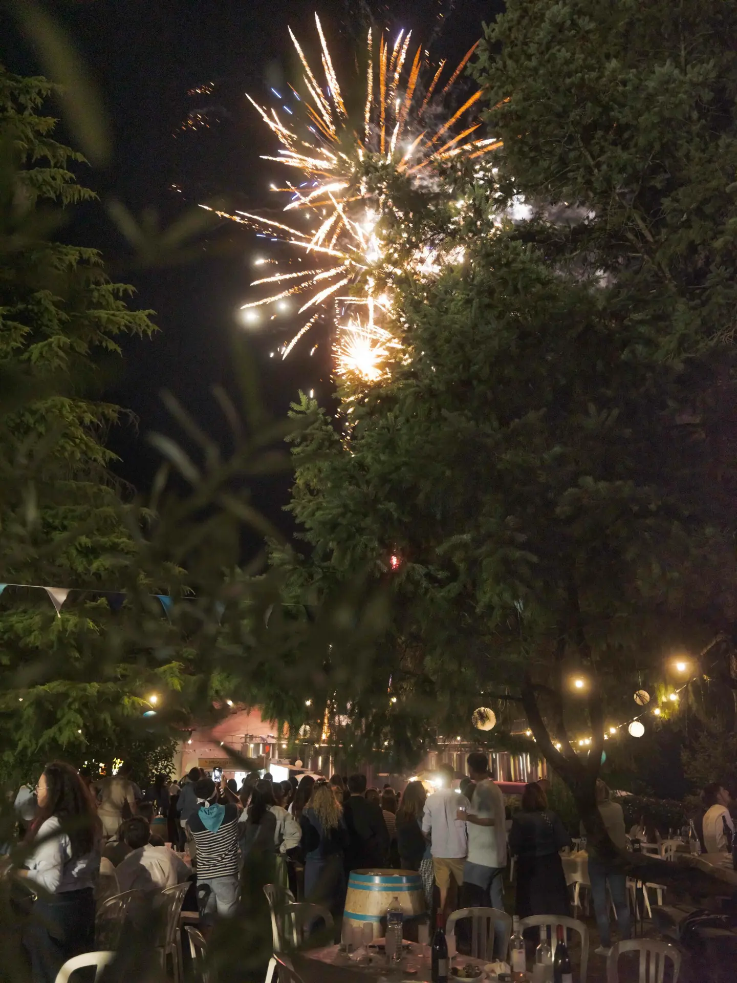 Feux d'artifices FESTA 2025